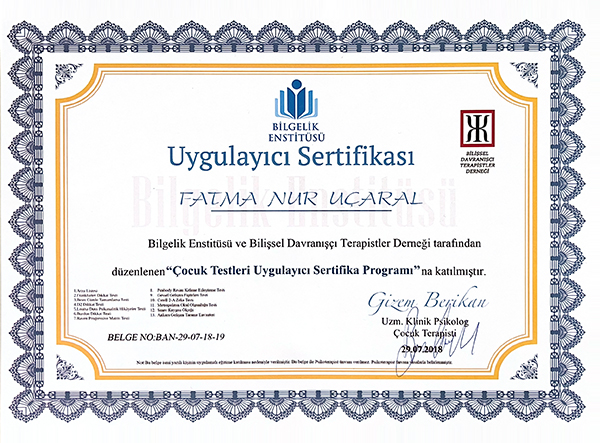 Uzman Psikolojik Danışman Fatma Nur UÇARAL ÇAKMAK