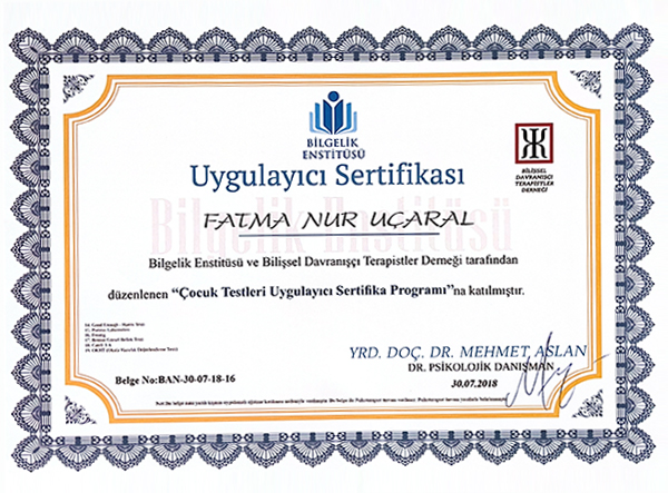 Uzman Psikolojik Danışman Fatma Nur UÇARAL ÇAKMAK